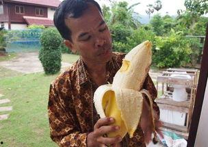 国产成人大香蕉,探索国产成人影视的崛起与魅力