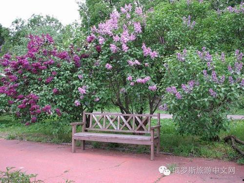 丁香六月激情国产